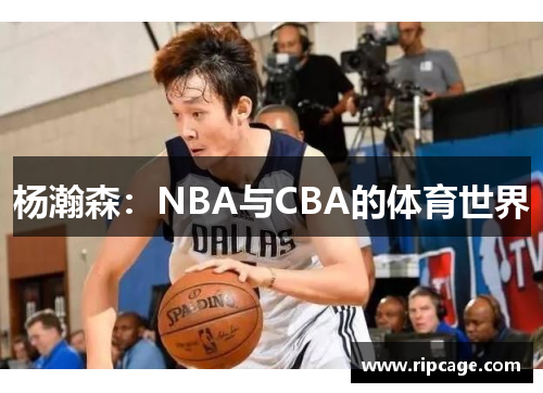 杨瀚森：NBA与CBA的体育世界
